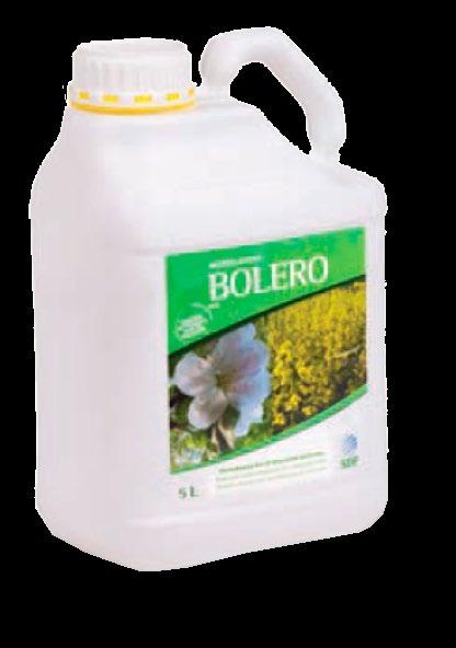 Microstar PZ/PMX 20-30 kg/ha Zinc 750 1 l/ha Bolero 1,5l/ha Maral 0,75-1,5 l/ha Rosaleaf 10-52-5 żółty 3-4kg/ha ASX Fosfor Plus 3-4 kg/ha + Protamianl 1 l/ha ASX Potas Plus 2-3 kg/ha + Protaminal 1