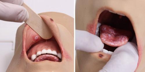 anatomiczne warg, jamy ustnej i jej okolicy.