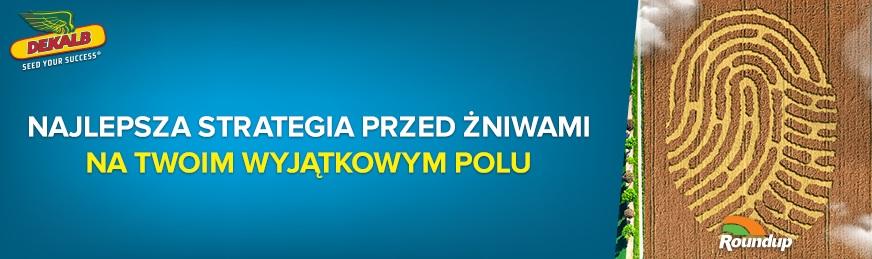 Roundup prze dżniwnie 2019-04-16 Uzyskanie najlepszych wyników zbiorów rzepaku dzięki opryskowi przedżniwnemu preparatem Roundup W przypadku odmian hybrydowych rzepaku, tolerancja genetyczna marki
