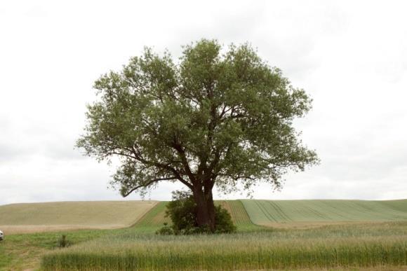 Kluczowe działanie na terenach