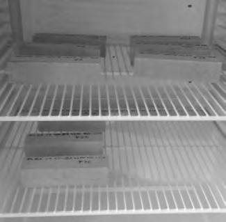 w termostatach utrzymujących temperaturę +5 C oraz +30 o C, a także w laboratorium, w którym temperatura utrzymywała się na poziomie +20 C ±0,5 o C. Stanowiska badawcze przedstawiono na rysunku 2.