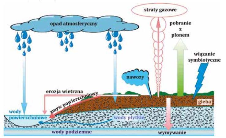 Odczyn gleb a emisja biogenów do wód Azot niewykorzystany przez rośliny przyczynia się do eutrofizacji środowiska wodnego