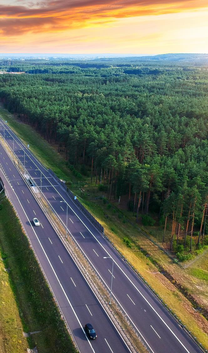 Perspektywy rozwoju rynku PPP Wg bazy zamierzeń inwestycji PPP (prowadzonej przez MIiR) wg stanu na koniec czerwca 2019 r.