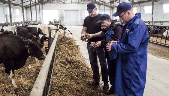 AKTUALNA OCENA ZAGROŻENIA STADA SUBKLINICZNĄ KETOZĄ K! Grupa L. krów Liczba krów K! Udział krów K! PFSK la