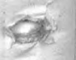 rek 0 EDŁG GRP I YBRAYC BRAŻ SŁG ORAZ IAST I GI R, mmmm ss t sbvbctvtt słg L I» ls chrkterze sstym - tym pr sprzęt rde te