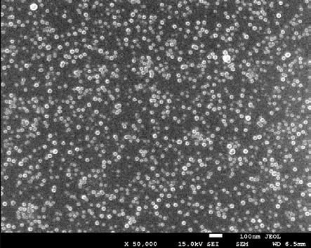 Monowarstwy nanocząstek srebra o kontrolowanym