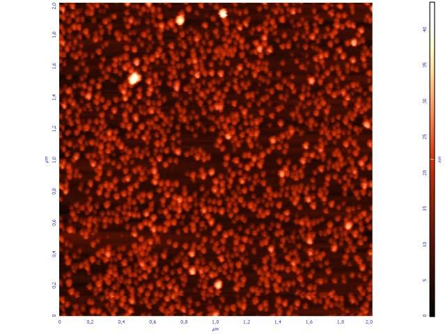 1.0 0.8 1 2 AFM, AgNP 28 nm θ/θ 0 0.6 0.4 54 nm, -19.