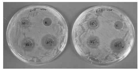 biologicznych Strefy