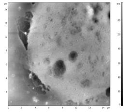 -60-80 AgNPs (cytrynian trisodu) 2 4 6 8 10 12 Stężenie srebra jonowego uwolnionego ph z suspensji AgNPs o stężeniu 15 mg L -1, ph 5.8-6.