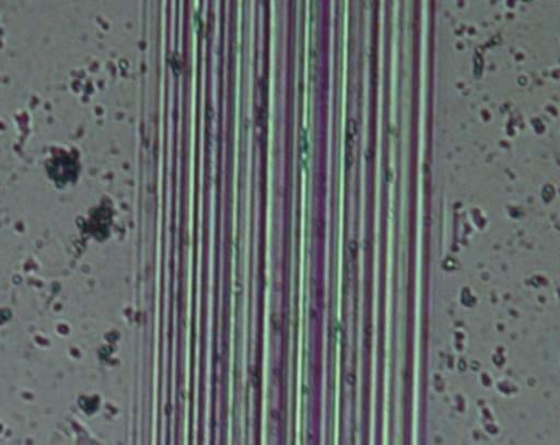 Critical loads of the coatings registered during scratch tests; LC1 initial cracking force, LC2 chipping and