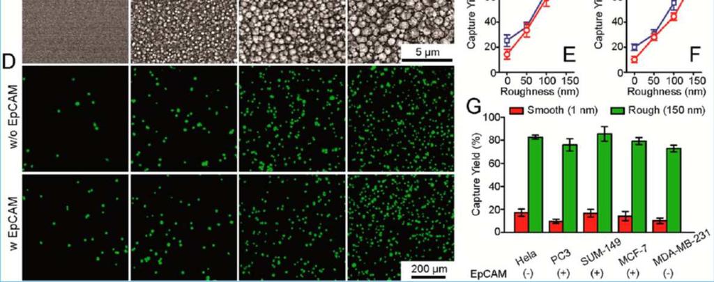 Institute of Microsystem Nanoroughened Surfaces for Efficient Capture