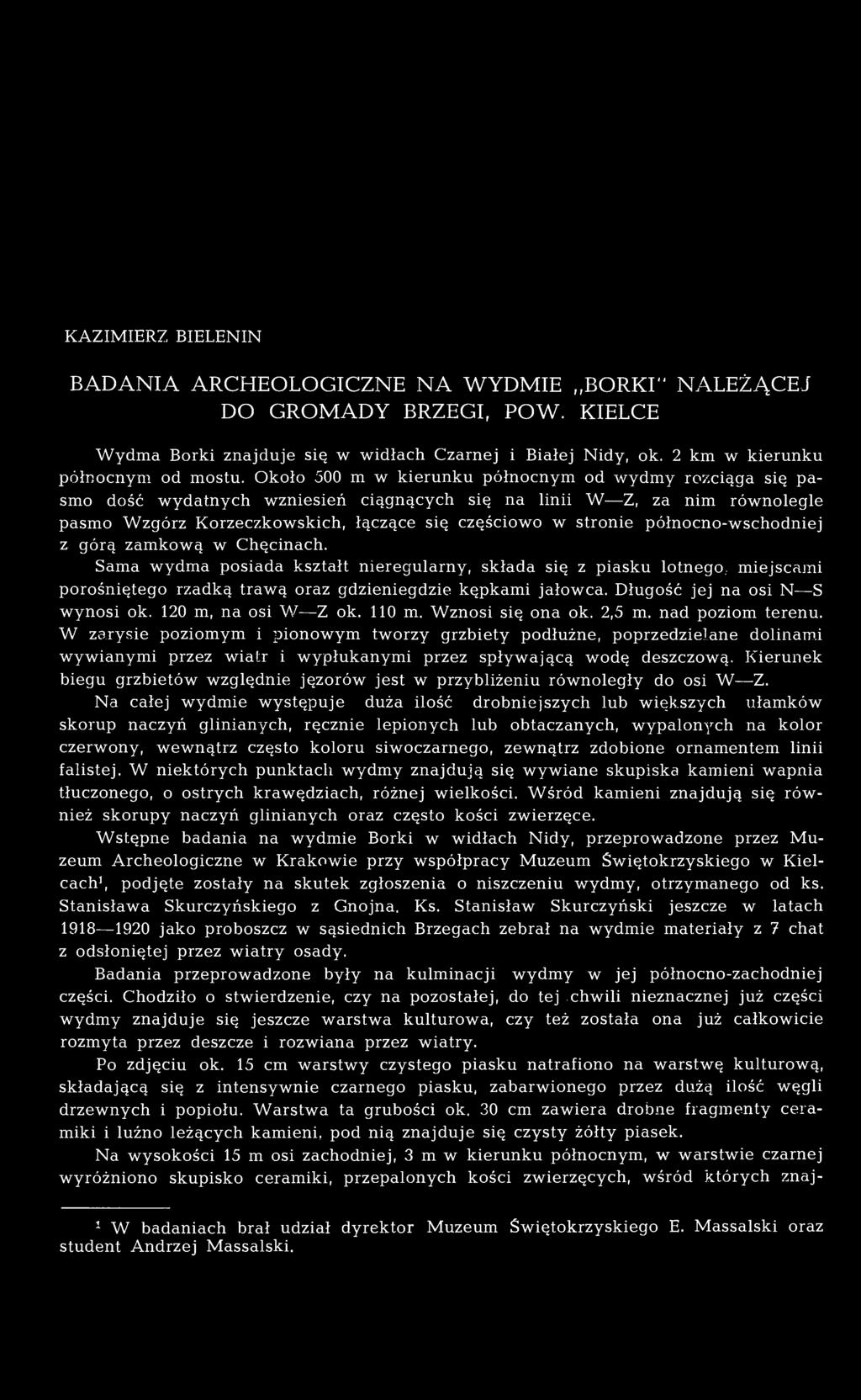 północno-wschodniej z górą zamkową w Chęcinach. Sama wydma posiada kształt nieregularny, składa się z piasku lotnego., miejscami porośniętego rzadką trawą oraz gdzieniegdzie kępkami jałowca.