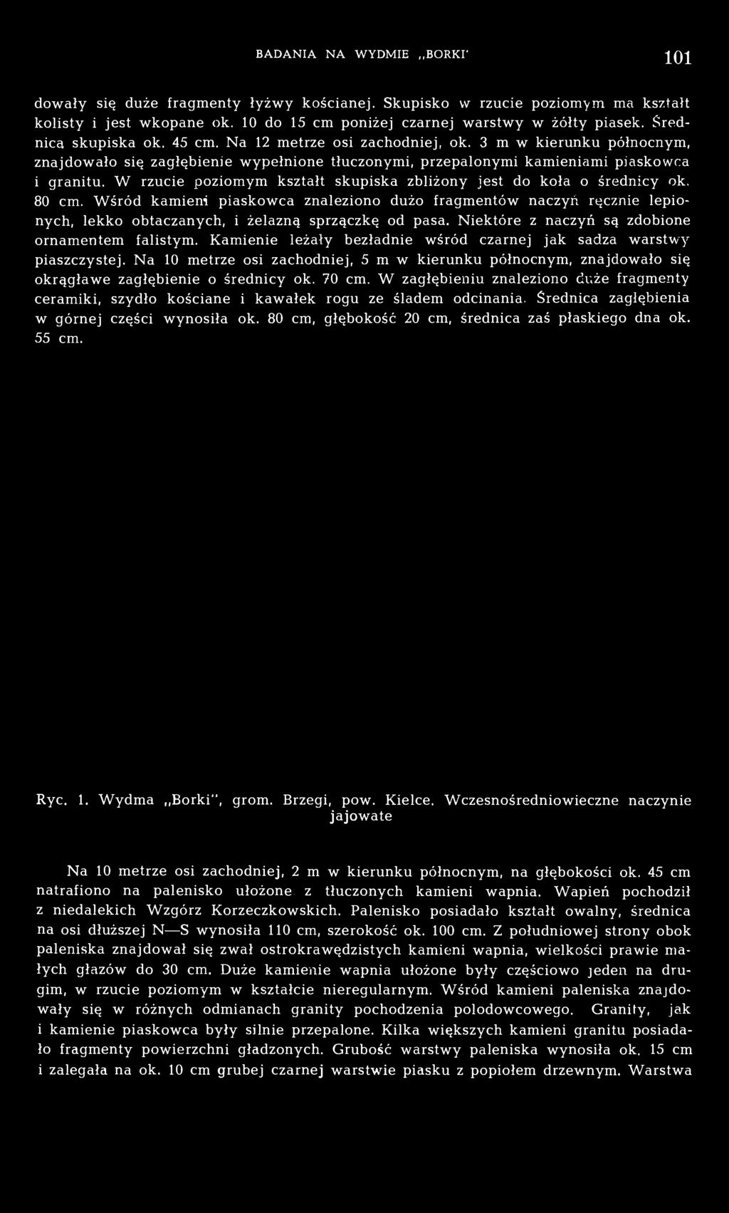 W rzucie poziomym kształt skupiska zbliżony jest do koła o średnicy ok. 80 cm.