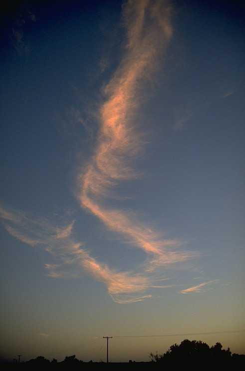 Cirrus uncinus