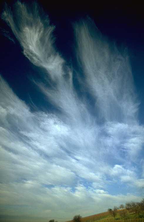 Cirrus uncinus