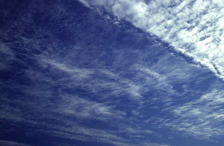 Cirrocumulus