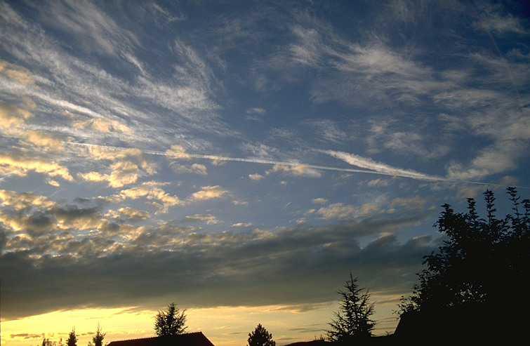 Cirrocumulus