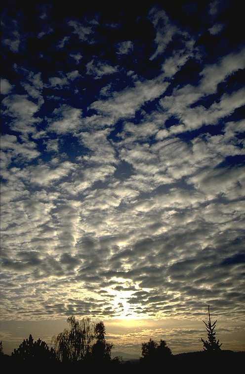 Stratocumulus