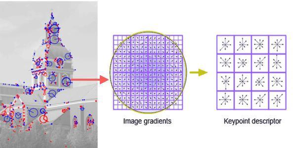 Local features matter Keypoints: location (x, y), orientation, scale. Descriptors: histograms of gradient orientations.