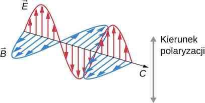 8.2.8. Polaryzacja Polaryzacja określa kierunek drgań fali względem kierunku jej rozchodzenia (propagacji). Fale posiadające wyróżniony kierunek drgań nazywane są spolaryzowanymi.