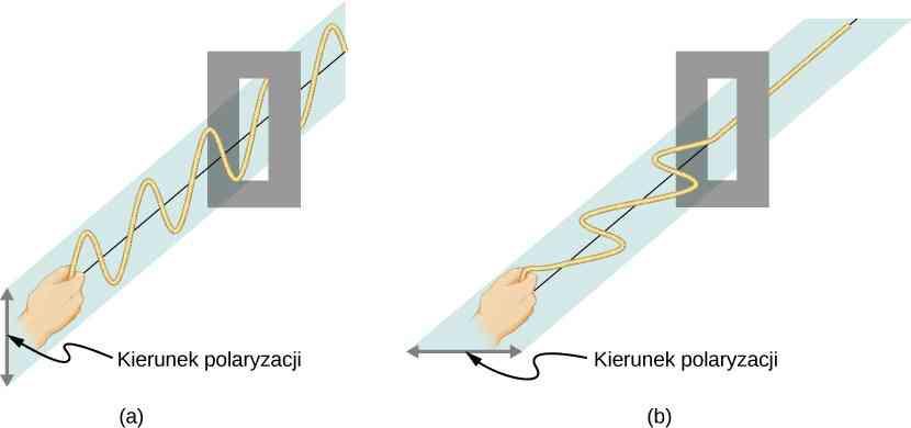 Polaryzacja Rozważmy poprzeczne fale wytwarzane za pomocą kawałka liny. Rys. Źródło: http://cnx.org/content/col25571/1.