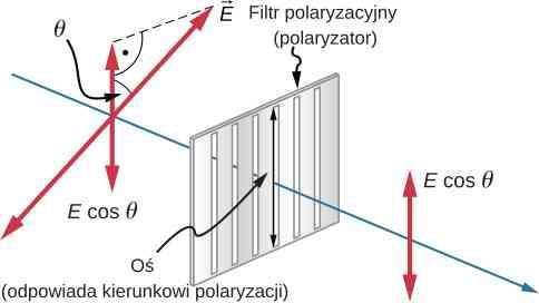 Prawo Malusa Polaryzator przepuszcza tylko składową elektryczną fali równoległą do jego kierunku polaryzacji, zmniejszając natężenie światła niespolaryzowanego równolegle względem jego kierunku