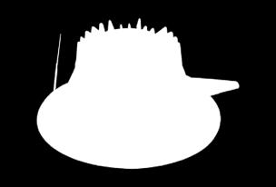 odzwierciedlająca