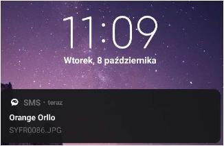zdjęcia: ~50KB Rozdzielczość zdjęcia: 640x480P (W przypadku przesłania