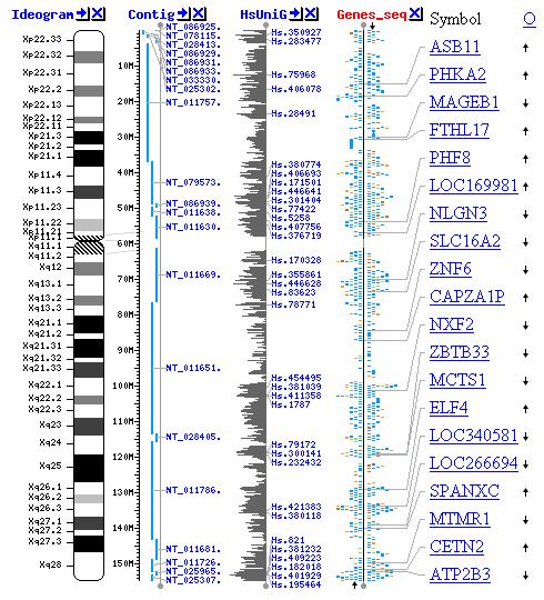 Spřístupnění dat uživatelům NCBI Genome