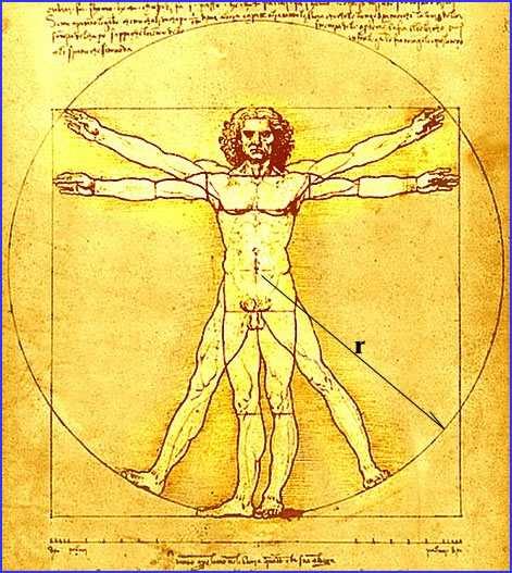 Homo/Mus 40% nukleotidů byli od dob společného předka změněny Ve