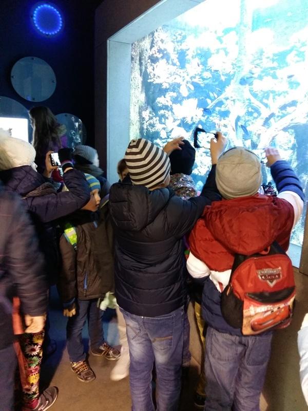 całego Szkoła projektu życia Miejskiego do zna mogły przyrody