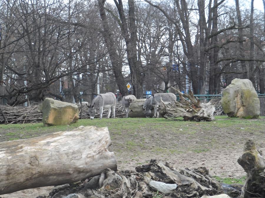 spektakularny sposób przedstaia fascynujące