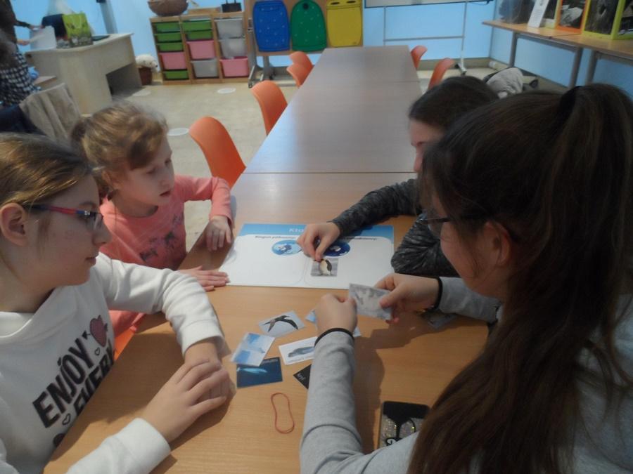 Biblioteki