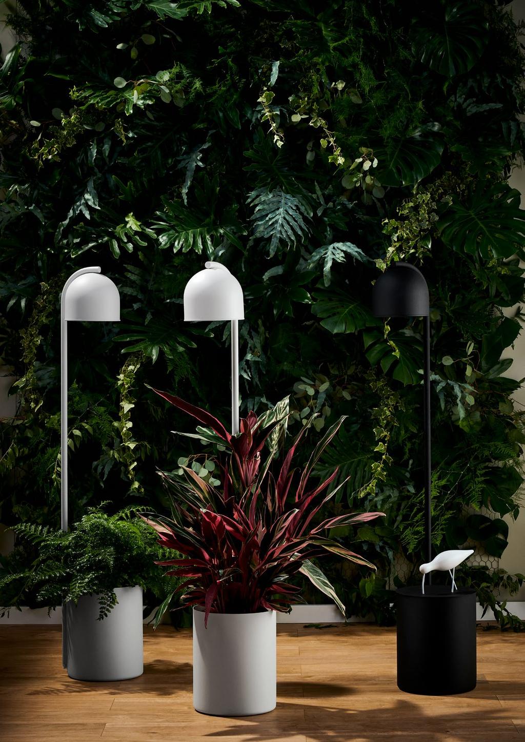 BOTANICA BOTANICA XL MOC: MAX 9W LED GWINT: GU10