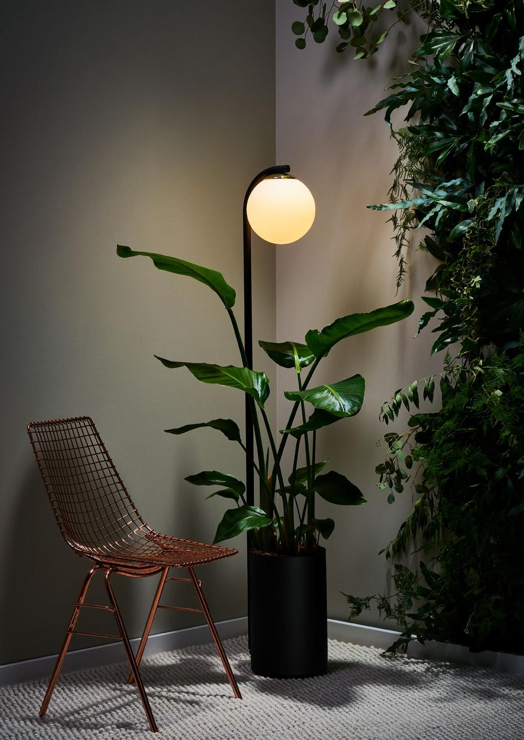 BOTANICA