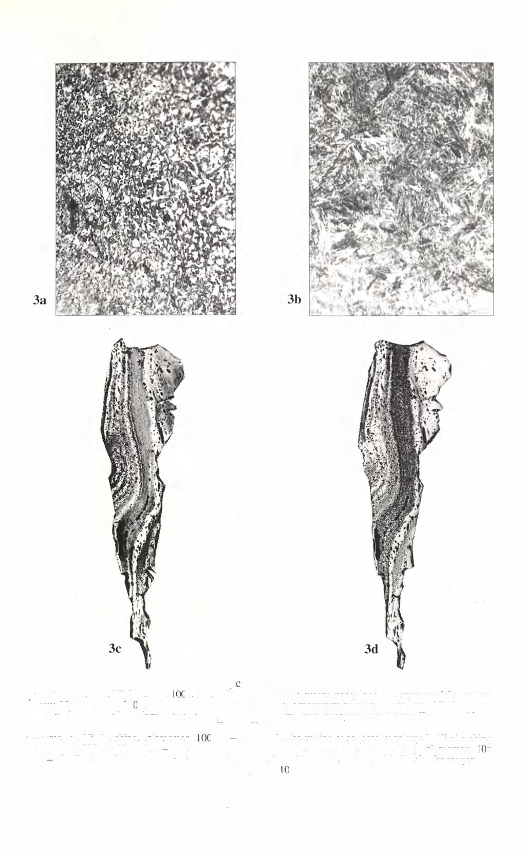 Ryc. 3. Nóż nr 1: a - struktura, traw. Nitalem, pow. 100x, b - struktura w pobliżu krawędzi tnącej (pod większym powiększeniem), traw. Nitalem, pow. 500x.
