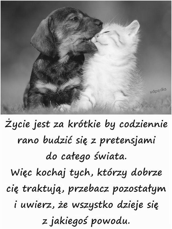 Posługa Kolektorów/ Ushers &Greeters Poszukujemy odpowiedzialnych i uprzejmych kobiet oraz mężczyzn do witania w progu drzwi naszej Świątyni wszystkich parafian przychodzących na Mszę Świętą.