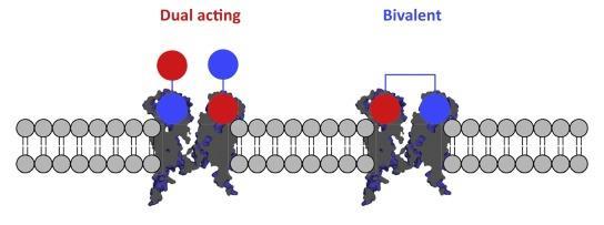 Ligand heterodimeru