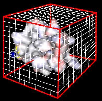 Reprezentacja białka przez grid (sieć) W każdym punkcie sieci mierzymy wielkość oddziaływań niewiążących: - Van der