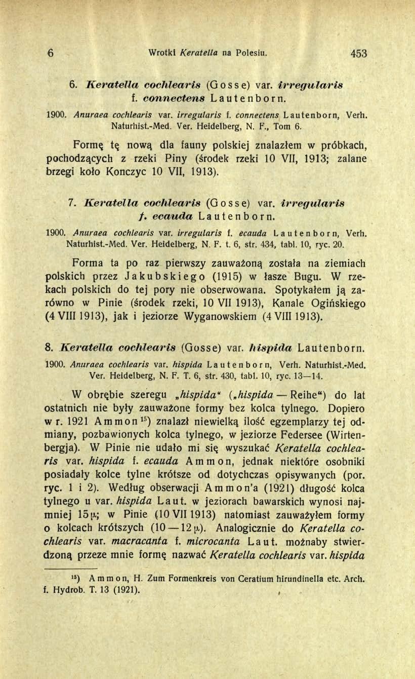 6 Wrotki Keratella na Polesiu. 453 6. Keratella cochlearis (Gosse) var. irregularis f. connectens Lautenborn. 1900. Anuraea cochlearis var. irregularis f. connectens Lautenborn, Verh. Naturhist.-Med.