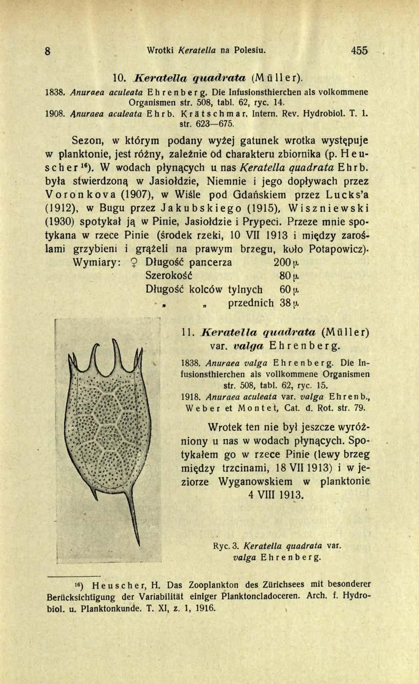 8 Wrotki Keratella na Polesiu. 455 10. Keratella quadrata (Müller). 1838. Anuraea aculeata Ehrenberg. Die Infusionsthierchen als volkommene Organismen str. 508, tabl. 62, ryc. 14. 1908.