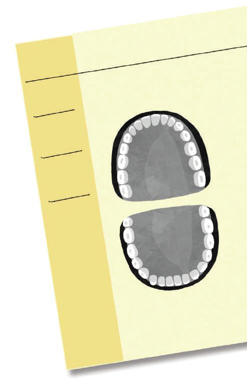 Zadanie W specjalnym notesie zapisuj, kiedy pojawiają się twoje stałe zęby.
