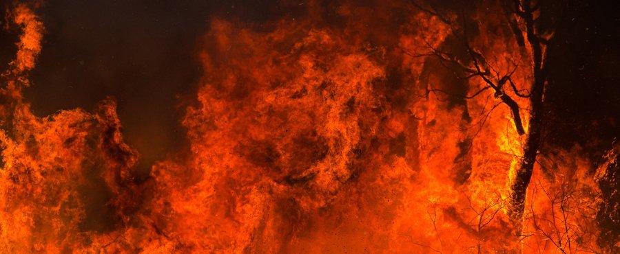 Uwaga! Pożary w polskich lasach https://www. Z powodu przedłużającej się suszy, poziom zagrożenia pożarowego osiągnął stan krytyczny.