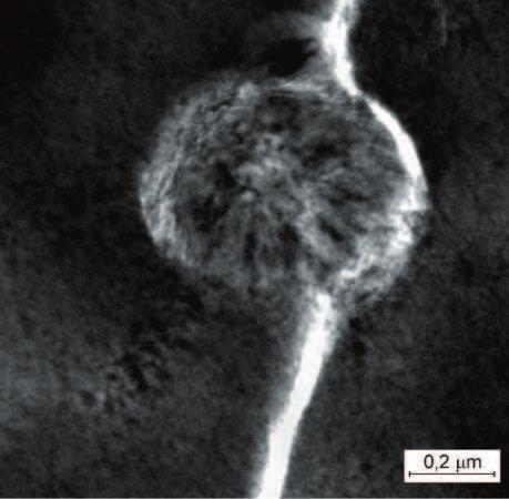 We wszystkich przypadkach analizowanych powłok udowodniono ich krystaliczny charakter w badanych obszarach.