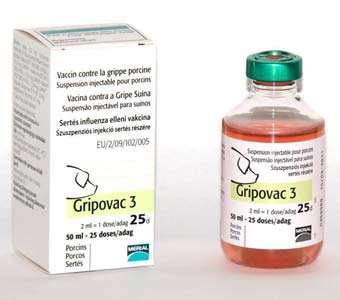 - loszki 2X: 5 i 8 tygodni przed włączeniem do stada - przeciwciała (miano ochronne > 40 - od 7 dnia po 2-gim