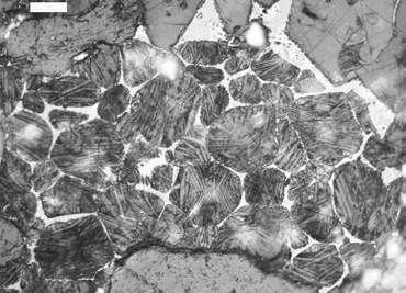 PROBLEM WPŁYWU WANADU I ARSENU NA PROCES KLINKIERYZACJI ORAZ WŁAŚCIWOŚCI... 67 się w granicach 10 40 µm. Na powierzchni C 2 S występują charakterystyczne zrosty bliźniacze dwukierunkowe (ryc. 3).