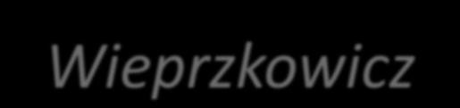 Justyna Wieprzkowicz ul.