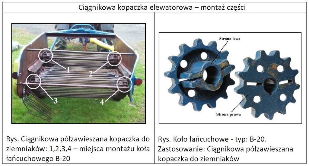 Ażeby dokonać montażu przedstawionego na zdjęciu koła łańcuchowego, napędu przenośników odsiewających łańcuchowo prętowych kopaczki