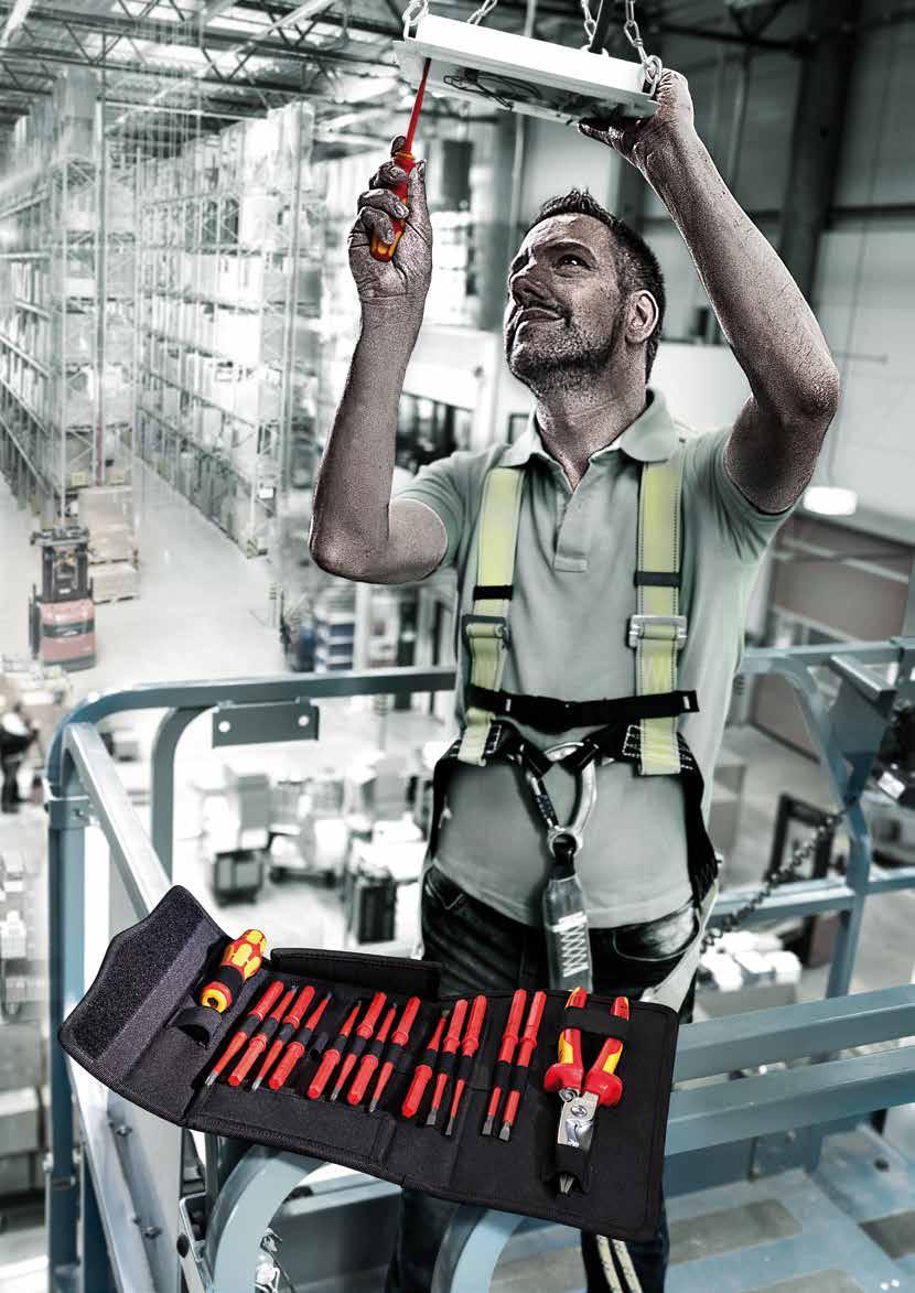 2 rękojeści 817 do wymiennych trzpieni Wera ; rękojeść Kraftform do ergonomicznej pracy; w wytrzymałej torbie na pasek.