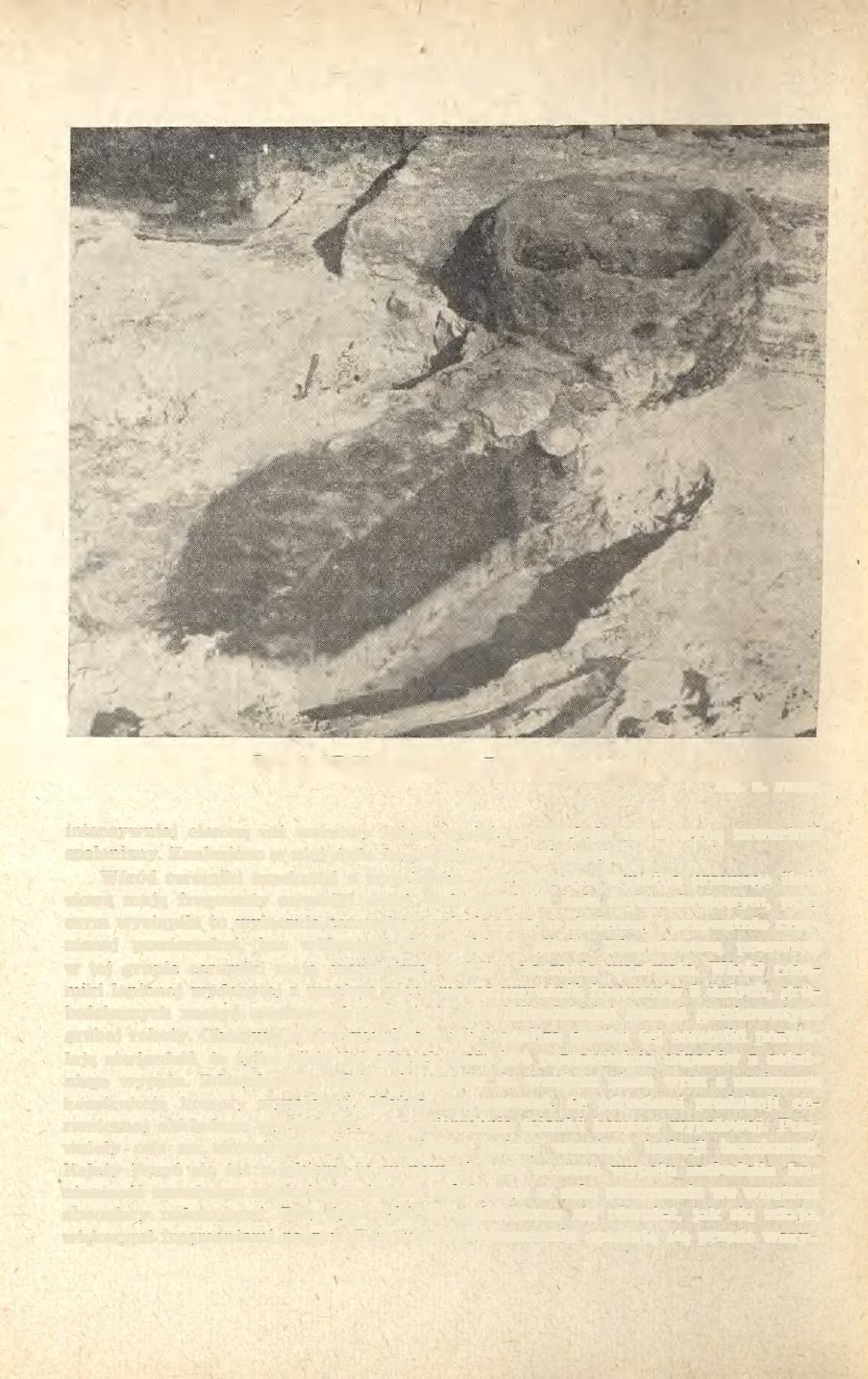 332 STANISŁAW PAZDA Ryc. 3. Wołow, m. pow. Piec garncarski Fot. S. Pazda intensywniej ciemną niż warstwy leżące wyżej, ze względu na znaczną zawartość spalenizny.
